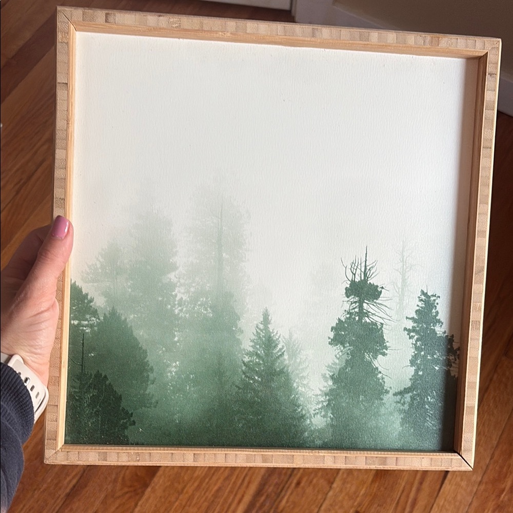 Framed Forest Art Print